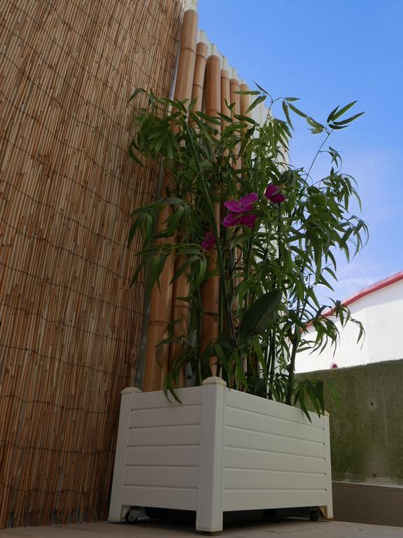Casa Do Cabeta Villa นาซาเร ภายนอก รูปภาพ